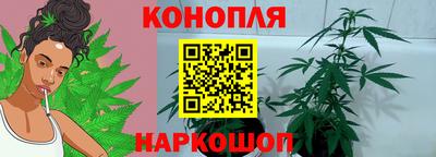 mdpv Уссурийск