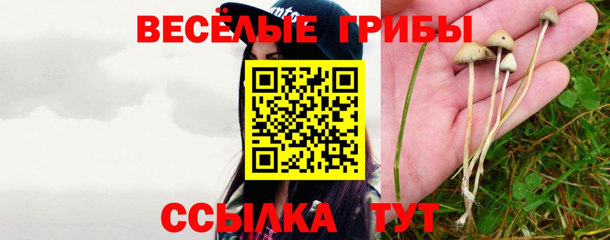 Кузнецк  Псилоцибиновые грибы Magic Shrooms  Вход с VPN  Галлюциногенные грибы GOLDEN TEACHER 