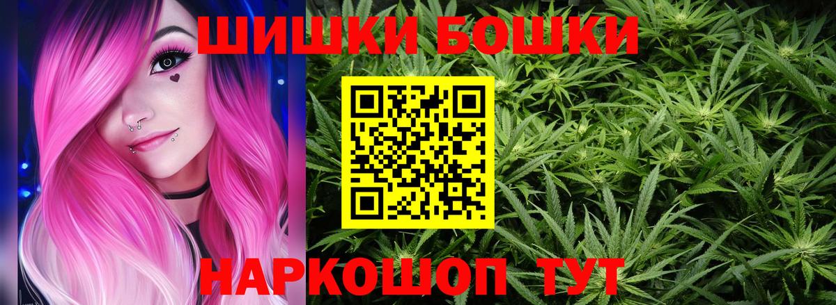 Канабис сатива Кузнецк